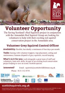 Volunteer Opportunity – Grey Squirrel Control Officer